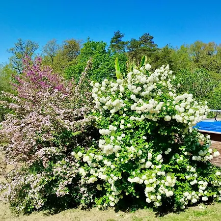 Les Zygotes, Au Coeur Du Perigord Noir